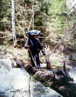 �׵�����·��