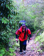 �׵�����·��